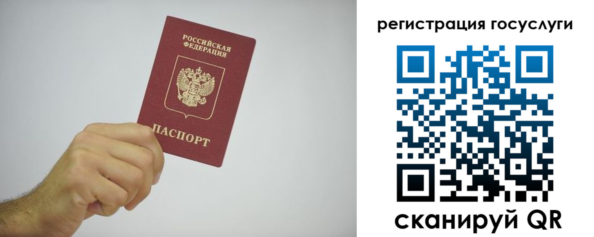 временная регистрация гарантия в Новомосковске